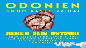 Flyer Komm raven